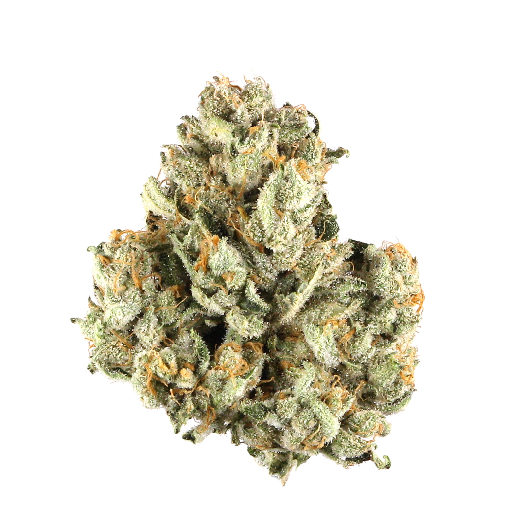 White Castle marijuana strain flower with strawberry and diesel flavor and uplifted / relaxed effects - Rare Harvest hybrid