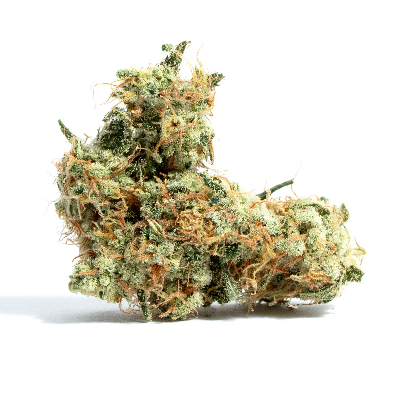 Fred Flipn’ Stoned marijuana strain flower with pine and woody flavor and focused / uplifted effects - Rare Harvest indica