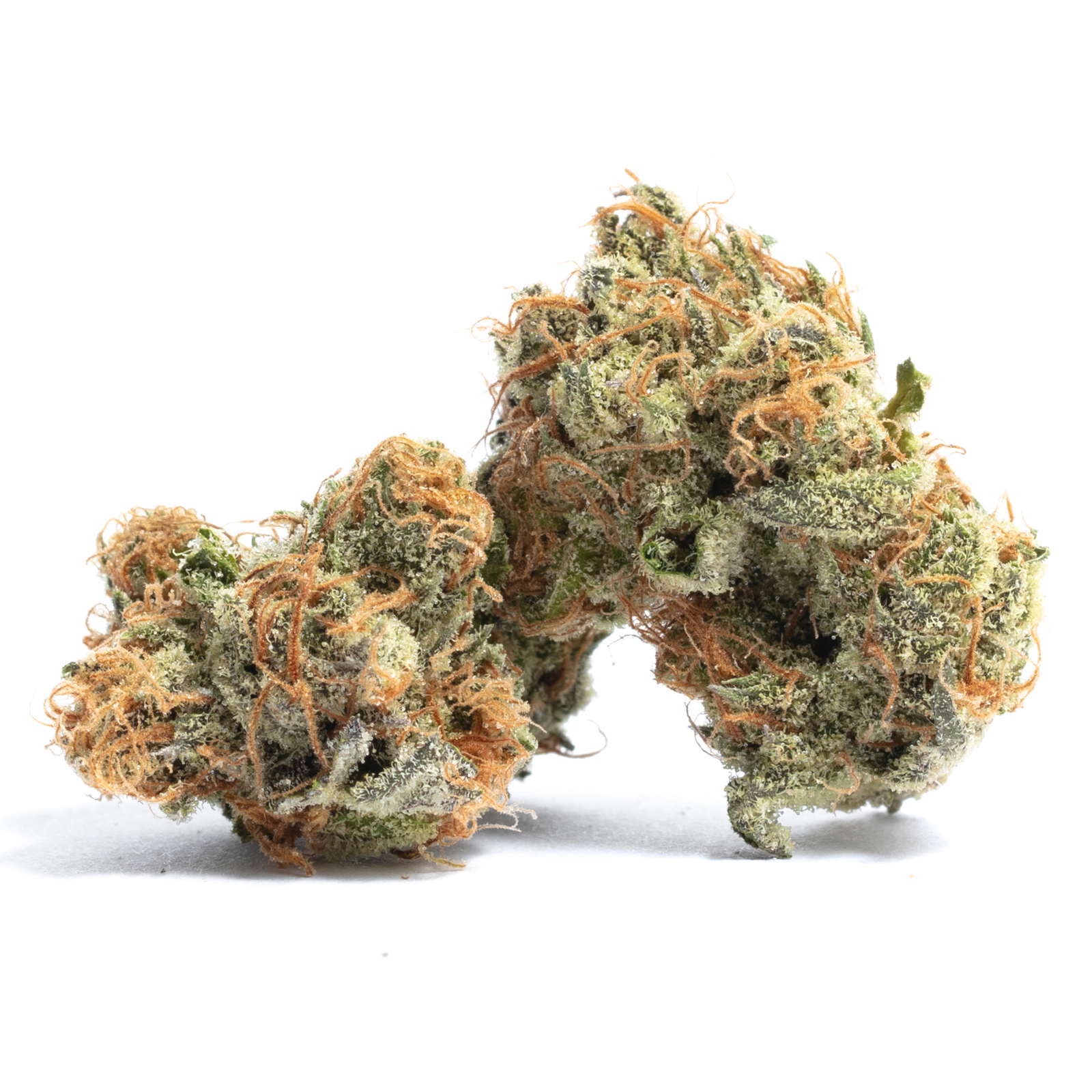 309 OG marijuana strain flower with strawberry and diesel flavor and creative / uplifted effects - Rare Harvest hybrid