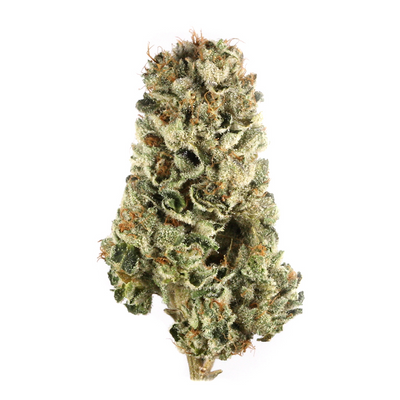 Hard Candy harvested flower, as labeled by the cited photo source
