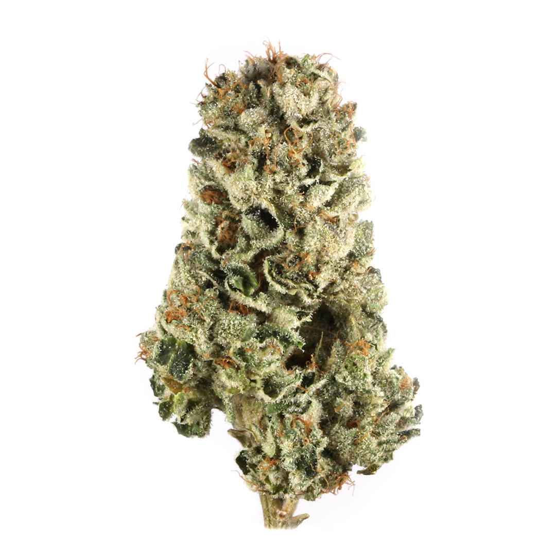 Tire Fire marijuana strain flower with tar and apricot flavor and sleepy / relaxed effects - Rare Harvest hybrid