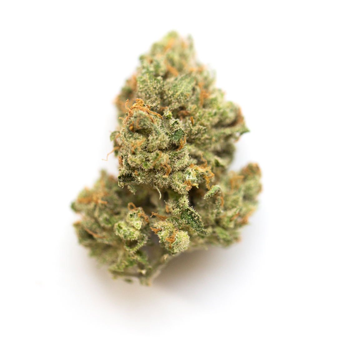 OG Critical marijuana strain flower with coffee and berry flavor and energetic / giggly effects - Rare Harvest hybrid