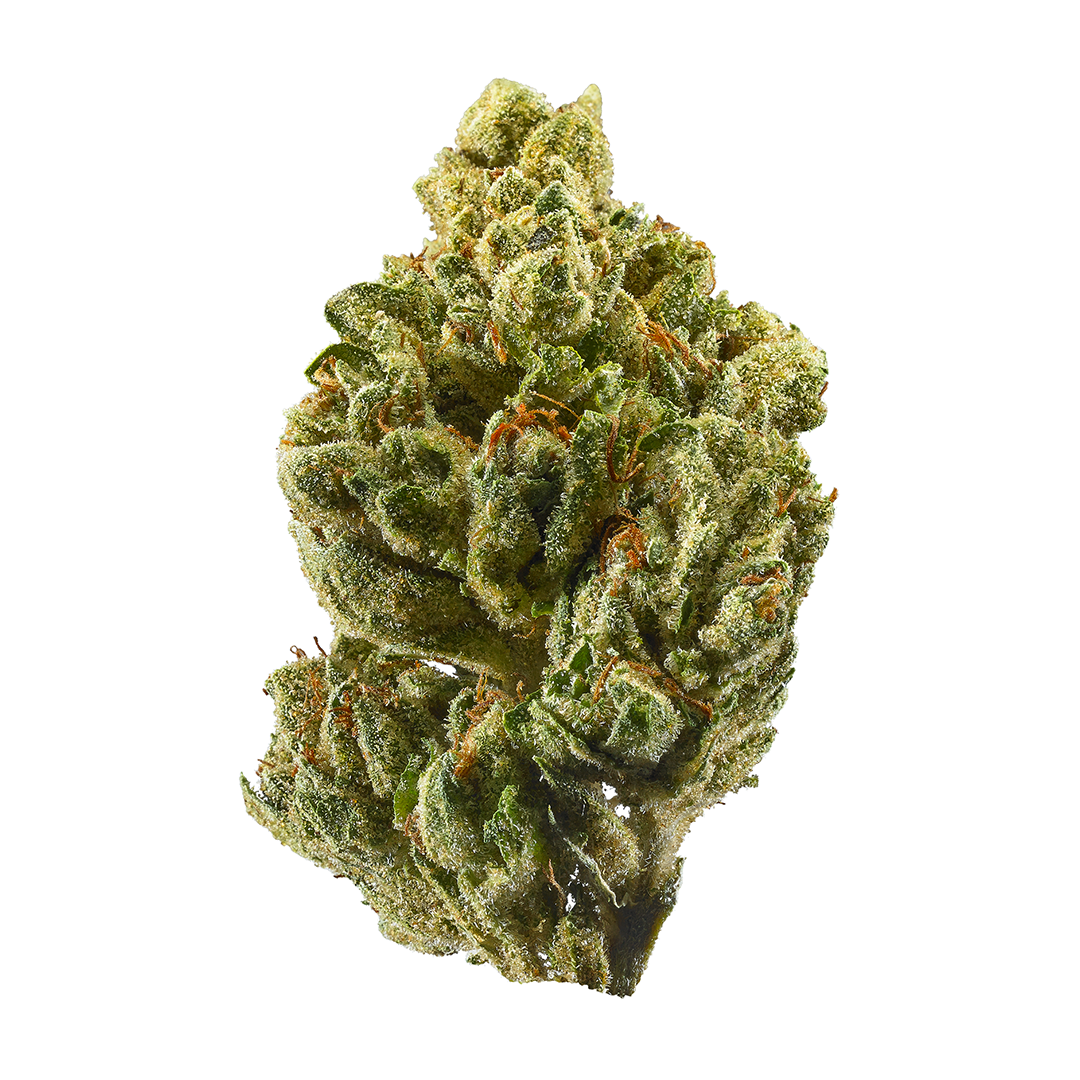 The Chemist marijuana strain flower with diesel and lemon flavor and uplifted / happy effects - Rare Harvest hybrid