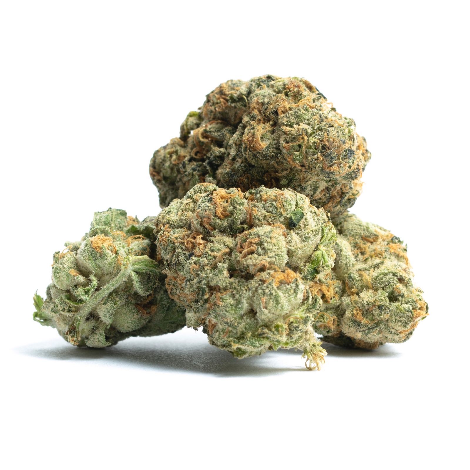 Supersonic marijuana strain flower with tea and tree fruit flavor and energetic / talkative effects - Rare Harvest sativa