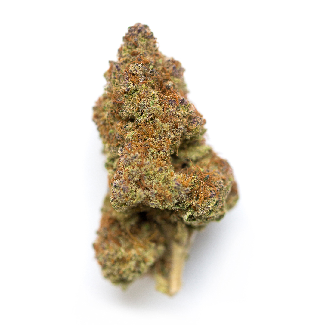 Ace High marijuana strain flower with chestnut and woody flavor and uplifted / energetic effects - Rare Harvest hybrid