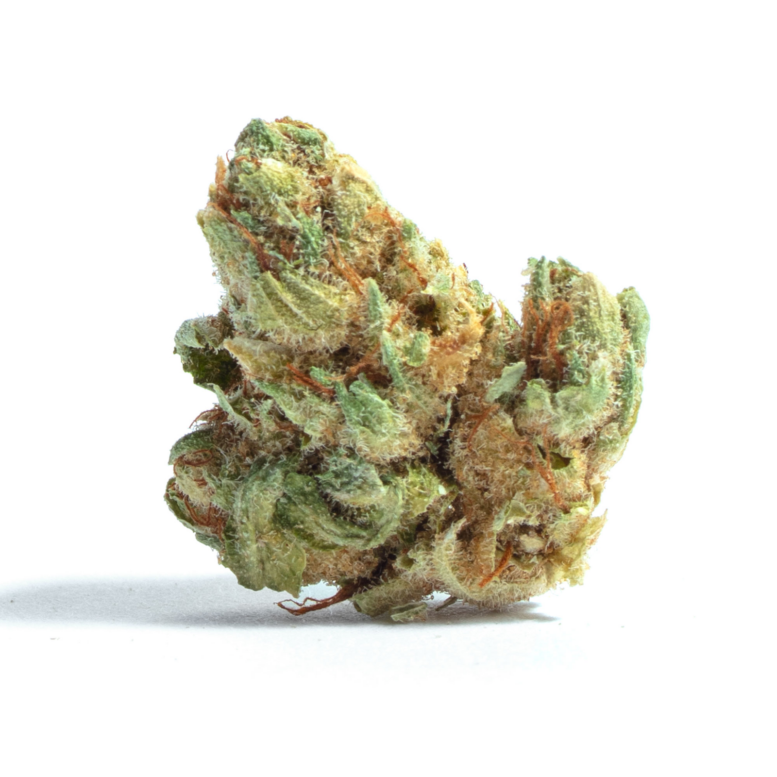 Scottie's Cake marijuana strain flower with diesel and pine flavor and creative / energetic effects - Rare Harvest hybrid