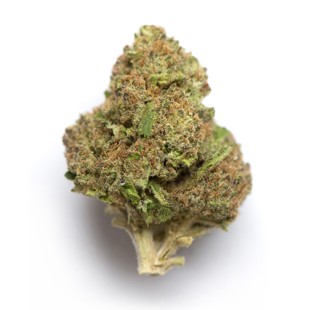 Jelly Runtz marijuana strain flower with flowery and pineapple flavor and happy / talkative effects - Rare Harvest hybrid