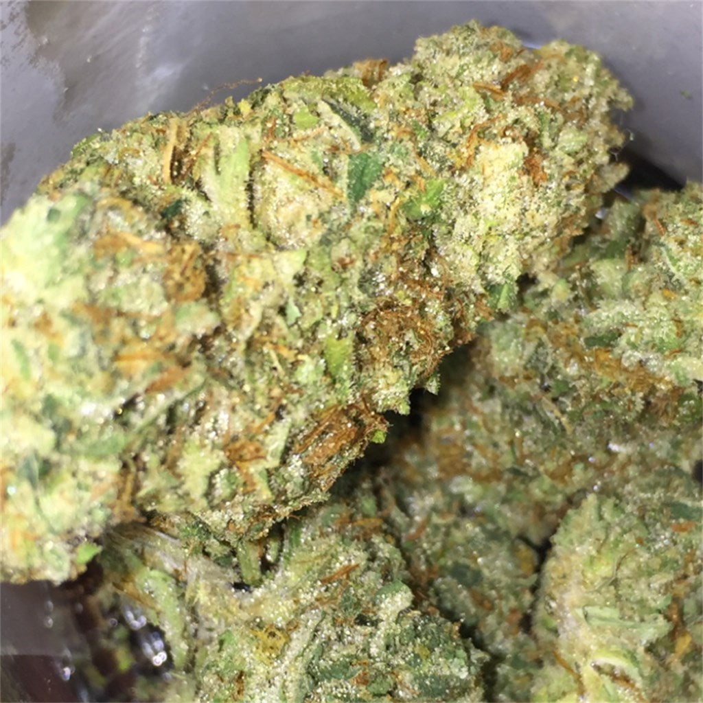 Strawberry Blondie marijuana strain flower with strawberry and tropical flavor and euphoric / creative effects - Rare Harvest hybrid