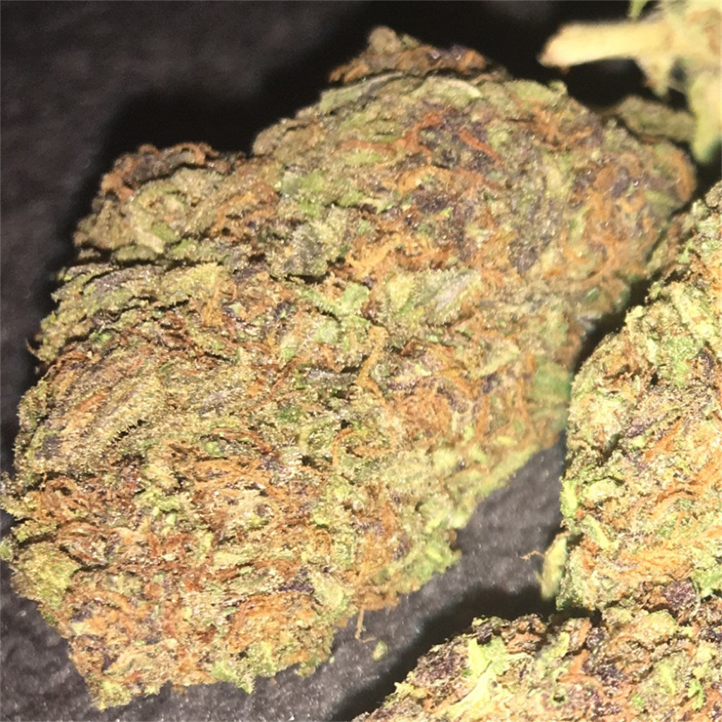 Strawberry Diesel marijuana strain flower with strawberry and diesel flavor and uplifted / happy effects - Rare Harvest hybrid