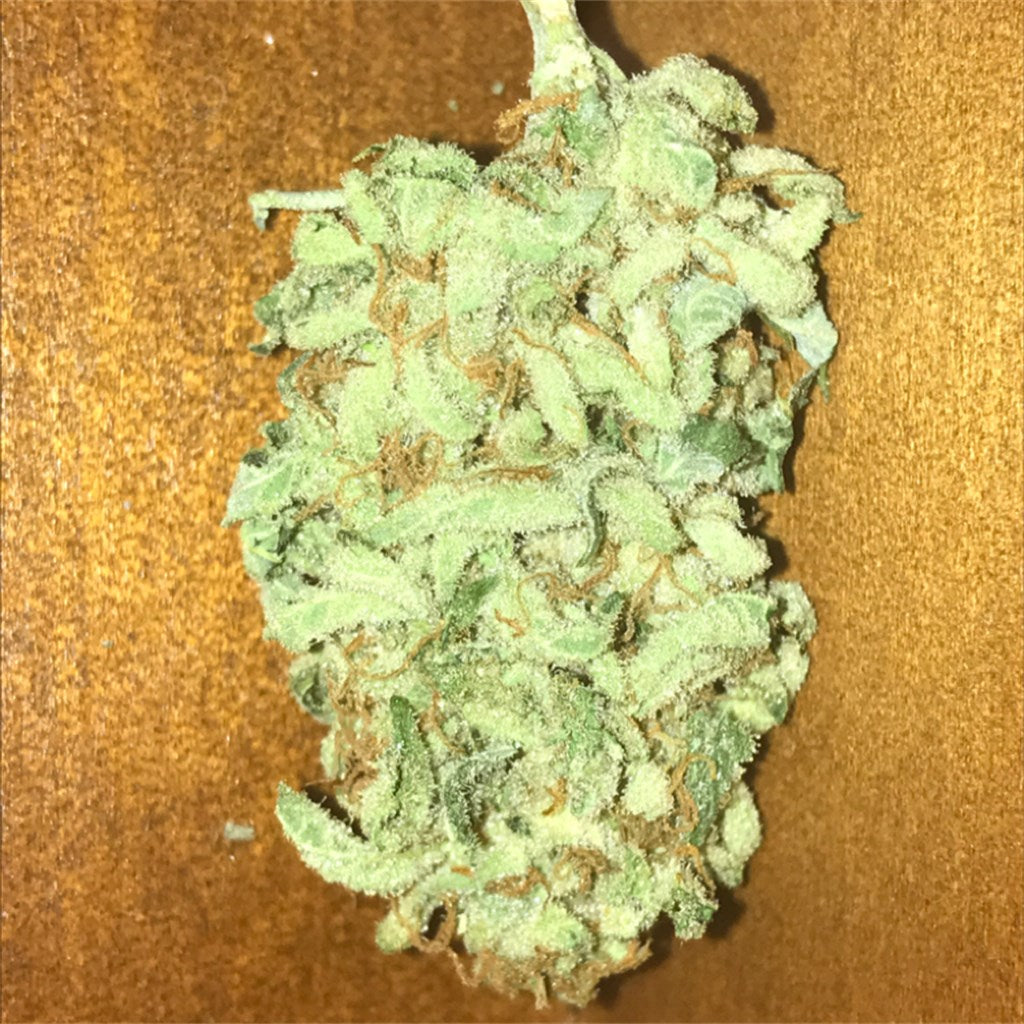 Strawberry Ice marijuana strain flower with strawberry and mint flavor and focused / energetic effects - Rare Harvest sativa