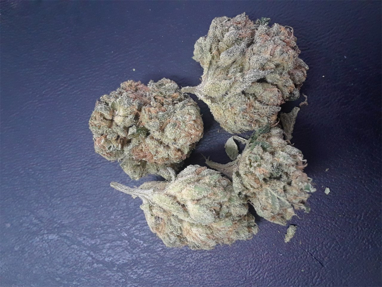 Strawberry Lemonade marijuana strain flower with lemon and strawberry flavor and energetic / uplifted effects - Rare Harvest sativa