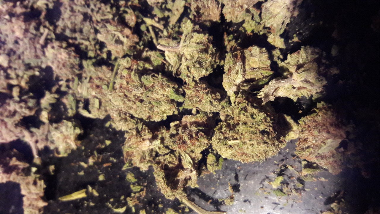 Strawberry Milkshake marijuana strain flower with strawberry and berry flavor and relaxed / hungry effects - Rare Harvest hybrid