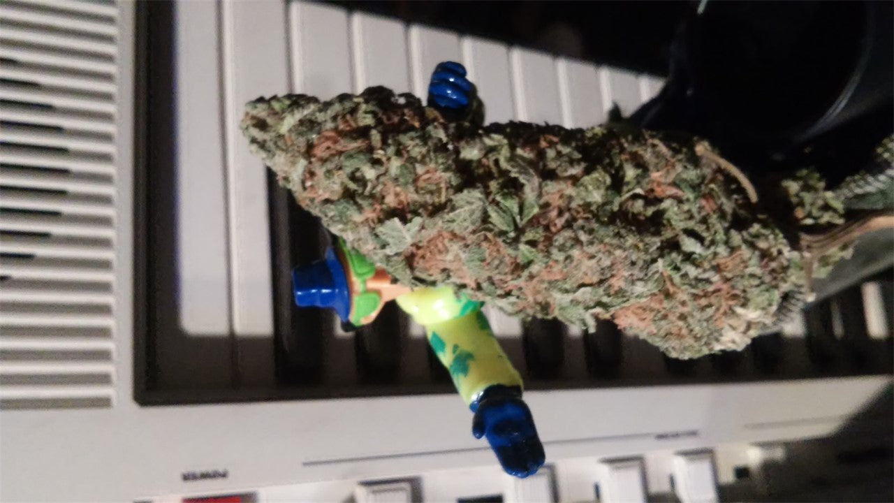 Strawberry Satori marijuana strain flower with strawberry and grape flavor and creative / uplifted effects - Rare Harvest sativa