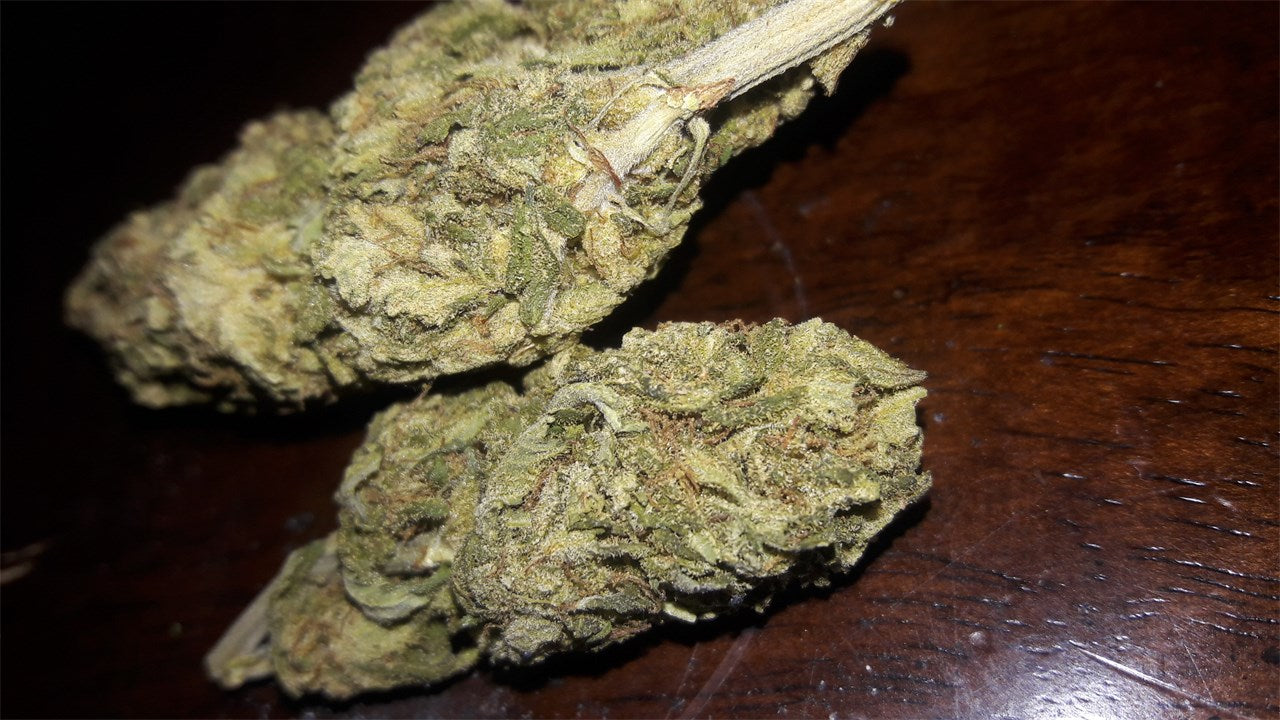 Sublime marijuana strain flower with apricot and blue cheese flavor and energetic / uplifted effects - Rare Harvest sativa
