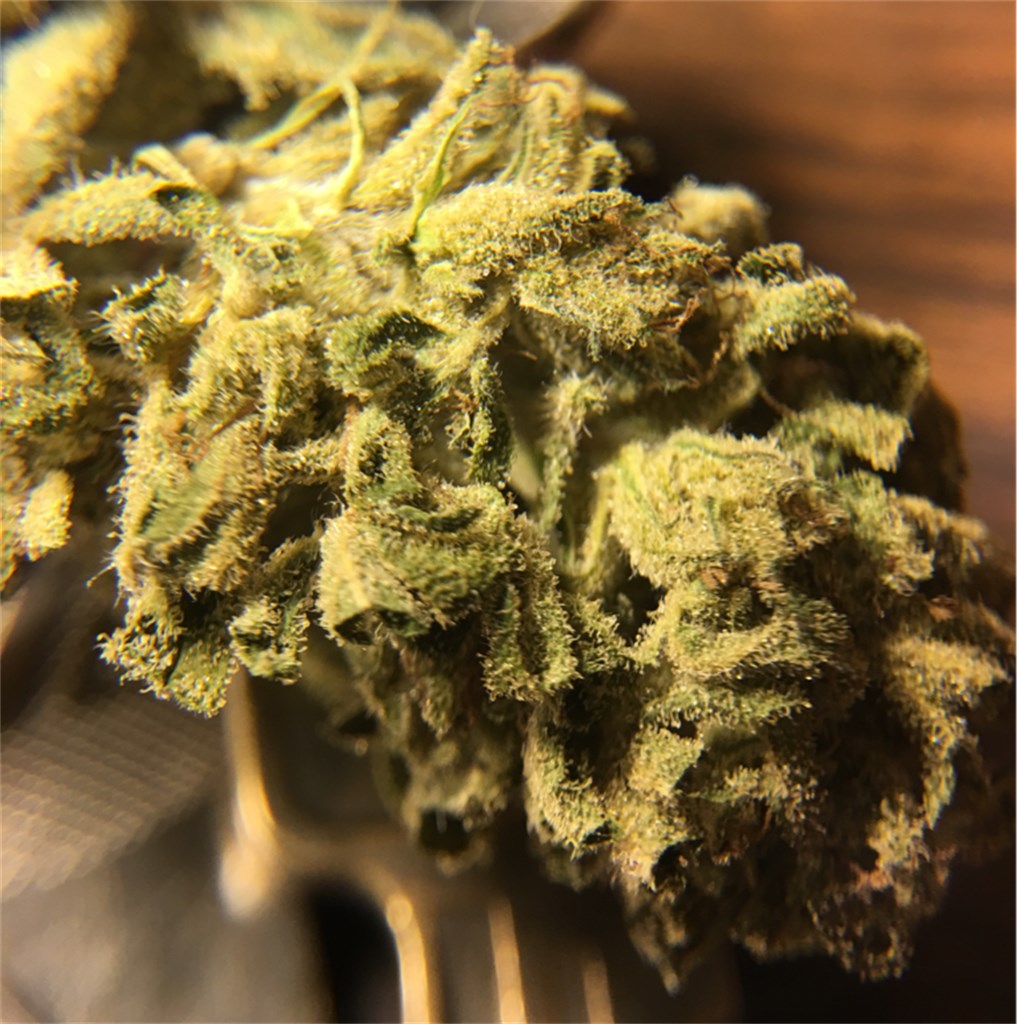 Sugar Mama marijuana strain flower with grapefruit and blueberry flavor and aroused / euphoric effects - Rare Harvest indica