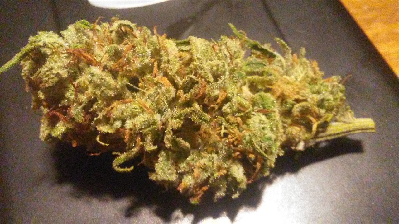 Sugar Punch marijuana strain flower with lemon and berry flavor and creative / uplifted effects - Rare Harvest hybrid
