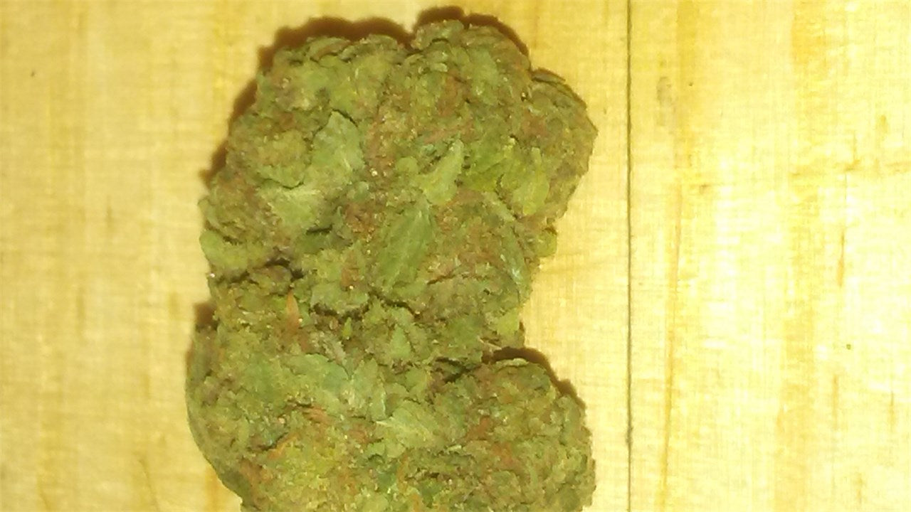 Suicide Girl marijuana strain flower and energetic / creative effects - Rare Harvest hybrid
