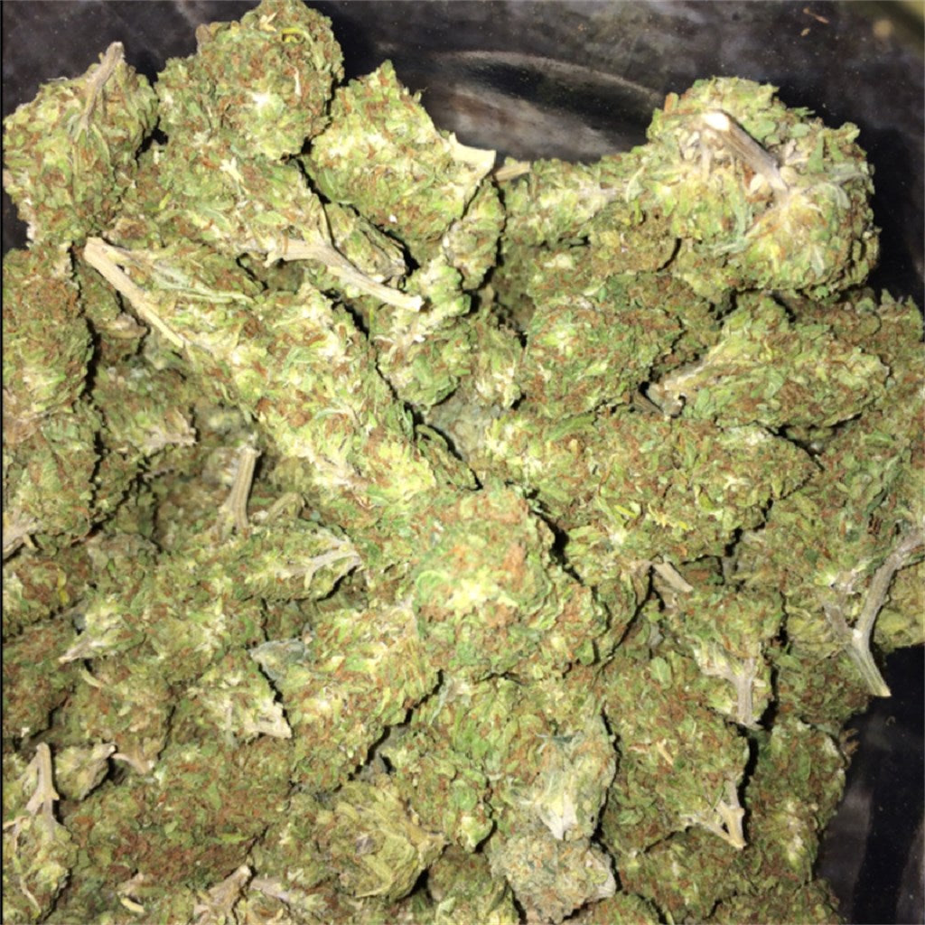 Summertime Squeeze marijuana strain flower with tea and lemon flavor and energetic / creative effects - Rare Harvest sativa