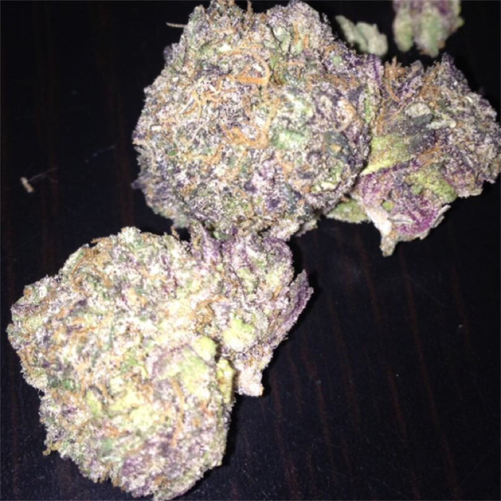 Sherbert marijuana strain flower with citrus and sweet flavor and relaxed / tingly effects - Rare Harvest hybrid