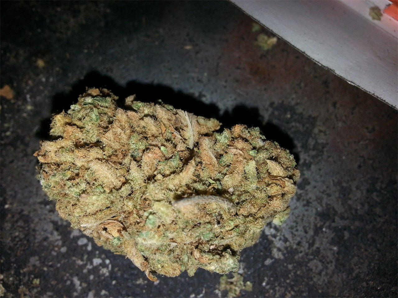 Sunshine #4 marijuana strain flower with citrus and ammonia flavor and uplifted / talkative effects - Rare Harvest hybrid