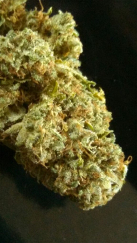 Super Sweet marijuana strain flower with honey and flowery flavor and giggly / talkative effects - Rare Harvest hybrid