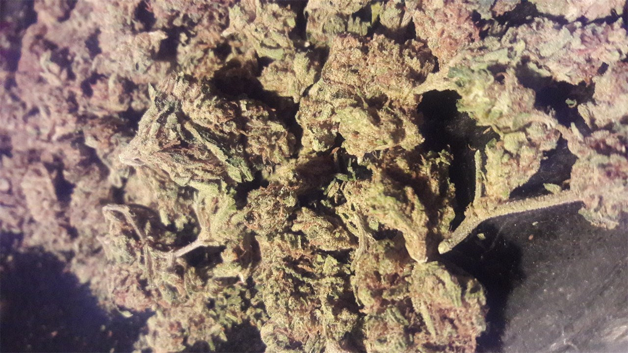 Superman OG marijuana strain flower with pine and pungent flavor and sleepy / relaxed effects - Rare Harvest indica