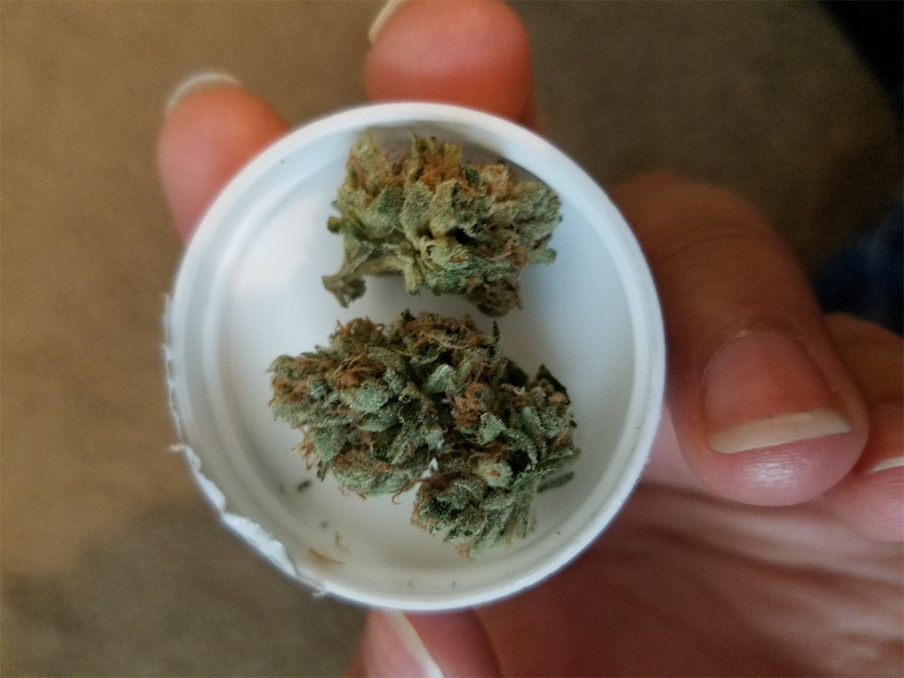 Supermax OG marijuana strain flower with pine and pungent flavor and tingly / relaxed effects - Rare Harvest hybrid