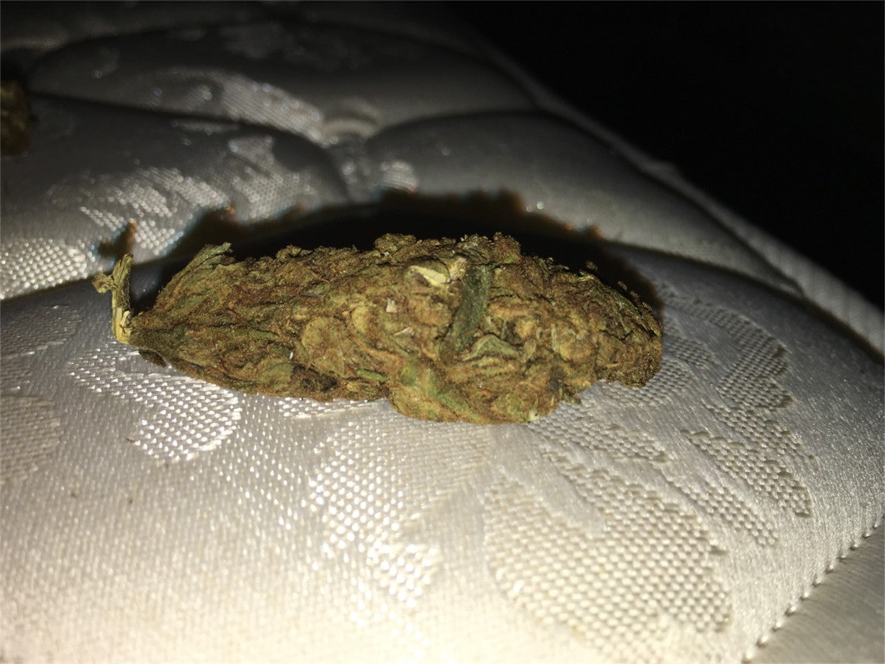 Swazi Gold marijuana strain flower with earthy and tobacco flavor and giggly / hungry effects - Rare Harvest sativa