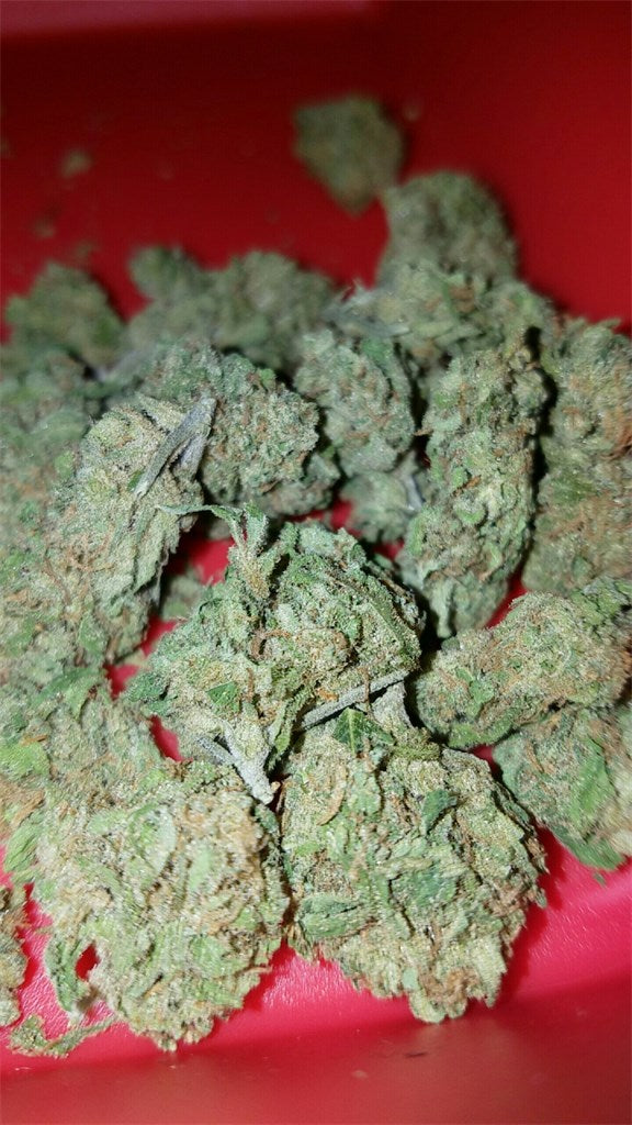Sweet Dream marijuana strain flower with cheese and berry flavor and euphoric / creative effects - Rare Harvest hybrid