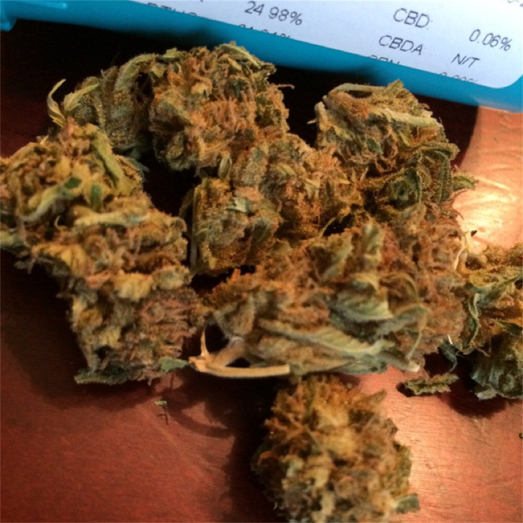 Sweet Dreams marijuana strain flower with skunk and ammonia flavor and sleepy / relaxed effects - Rare Harvest hybrid