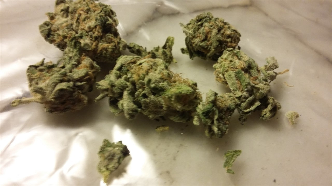 Sweet Jane marijuana strain flower with rose and mango flavor and energetic / focused effects - Rare Harvest sativa