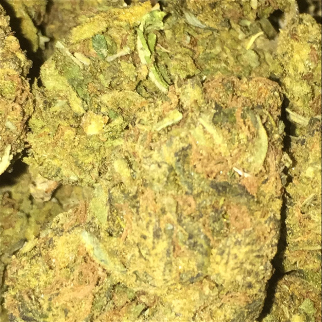 Sweet Kush marijuana strain flower with honey and tea flavor and hungry / relaxed effects - Rare Harvest hybrid