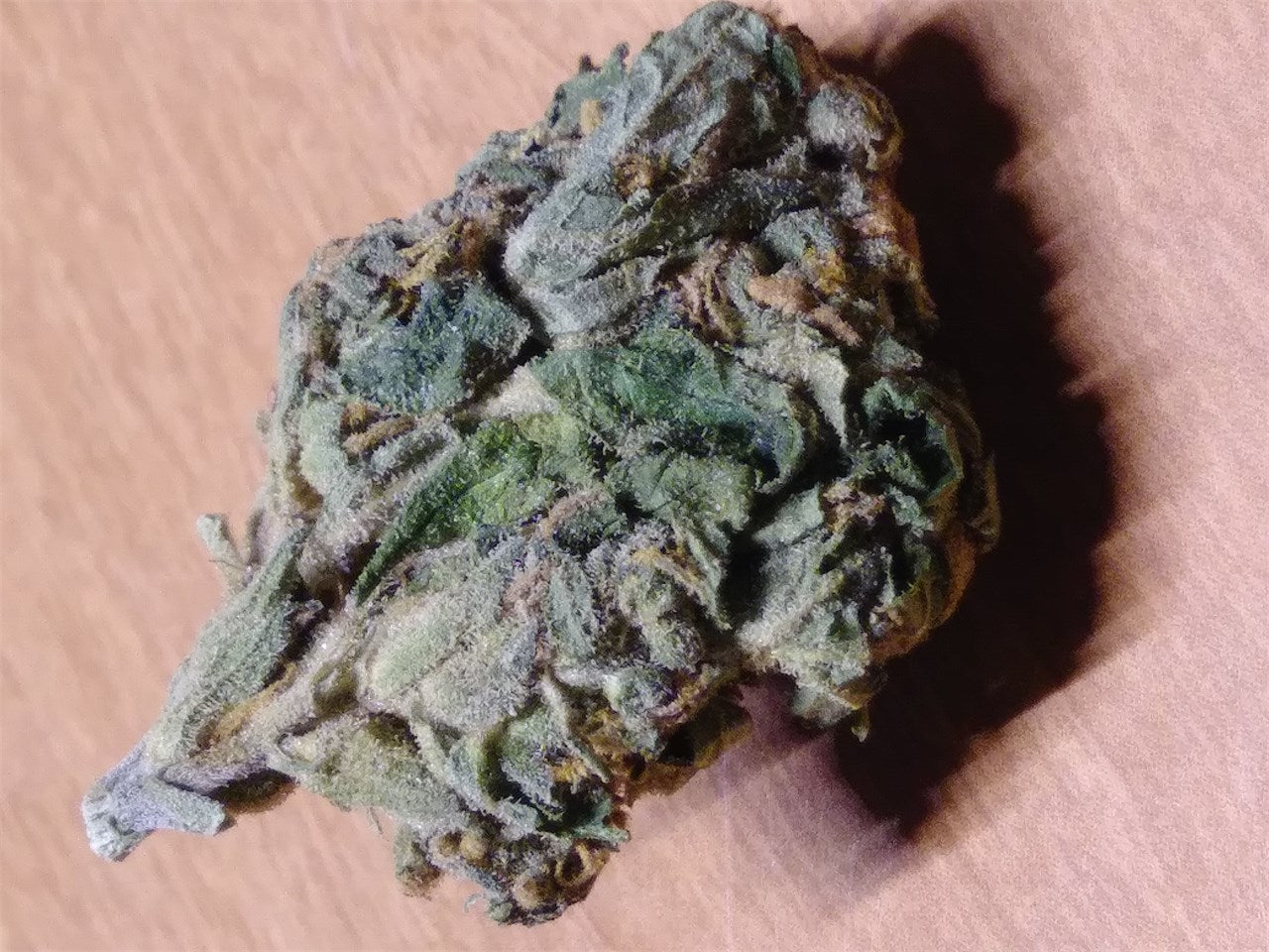 Sweet Tooth marijuana strain flower with flowery and sweet flavor and relaxed / euphoric effects - Rare Harvest indica