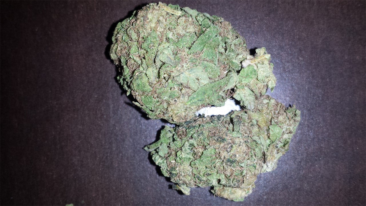 Swiss Bliss marijuana strain flower with diesel and sweet flavor and giggly / talkative effects - Rare Harvest hybrid