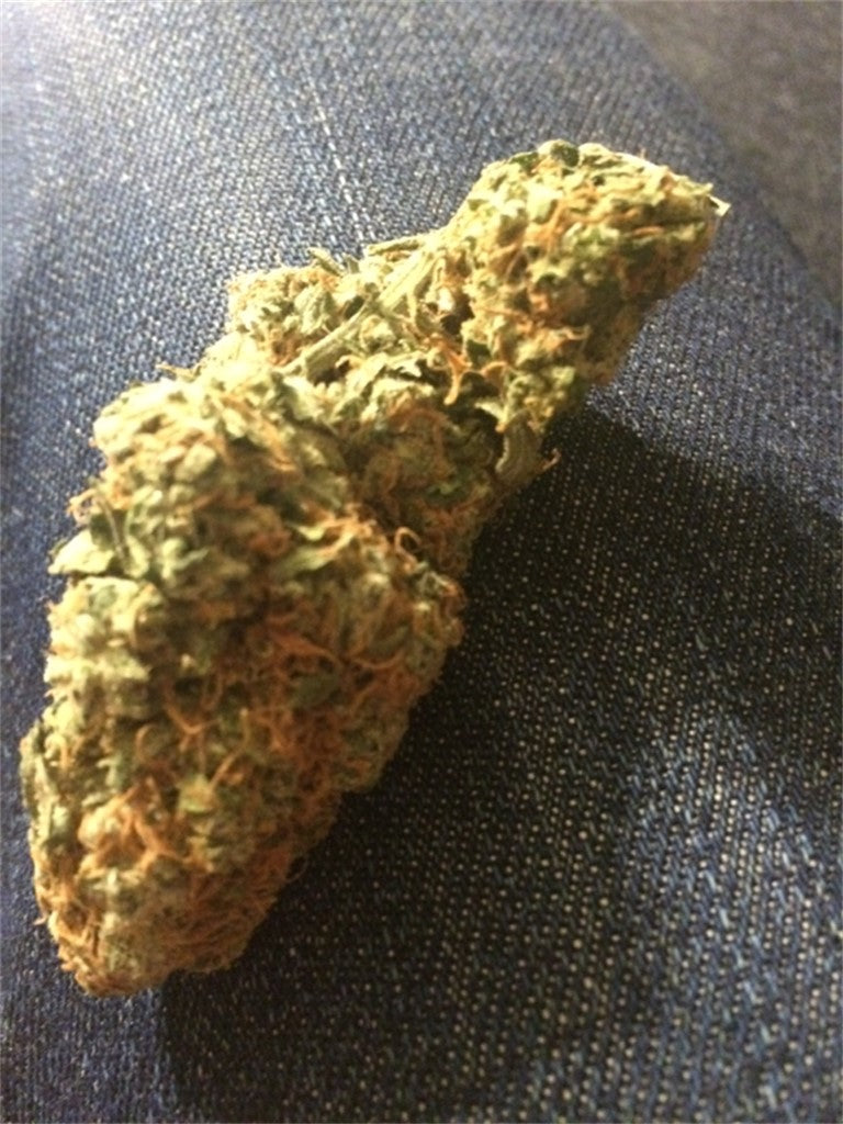 Swiss Gold marijuana strain flower with diesel and berry flavor and energetic / focused effects - Rare Harvest sativa