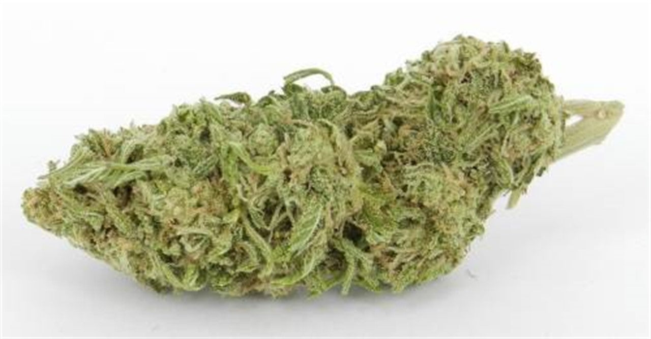 Swiss Sativa marijuana strain flower - Rare Harvest sativa
