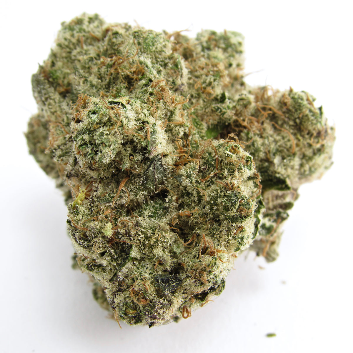 Greasy Runtz marijuana strain flower with rose and berry flavor and tingly / relaxed effects - Rare Harvest hybrid