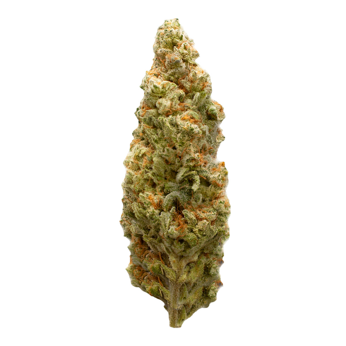Honeycomb marijuana strain flower with honey and blue cheese flavor and creative / energetic effects - Rare Harvest hybrid