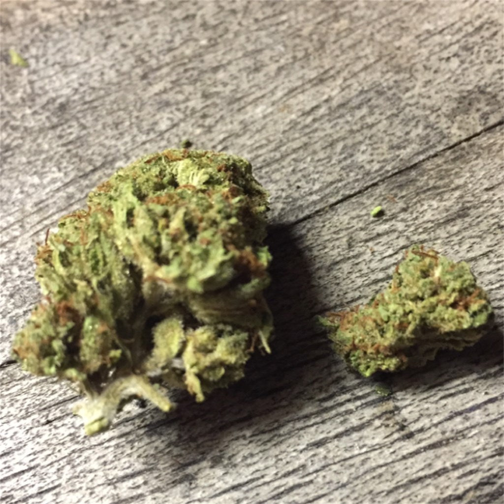 Tahoe OG marijuana strain flower with pine and earthy flavor and sleepy / relaxed effects - Rare Harvest hybrid