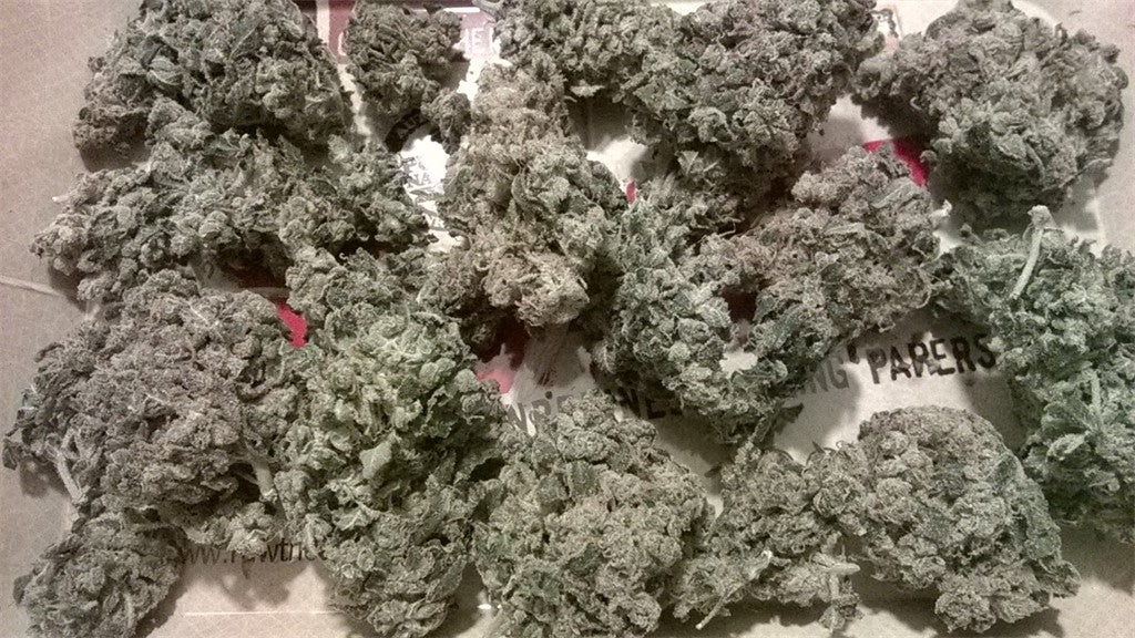 Tangelo Kush marijuana strain flower with orange and diesel flavor and energetic / uplifted effects - Rare Harvest hybrid