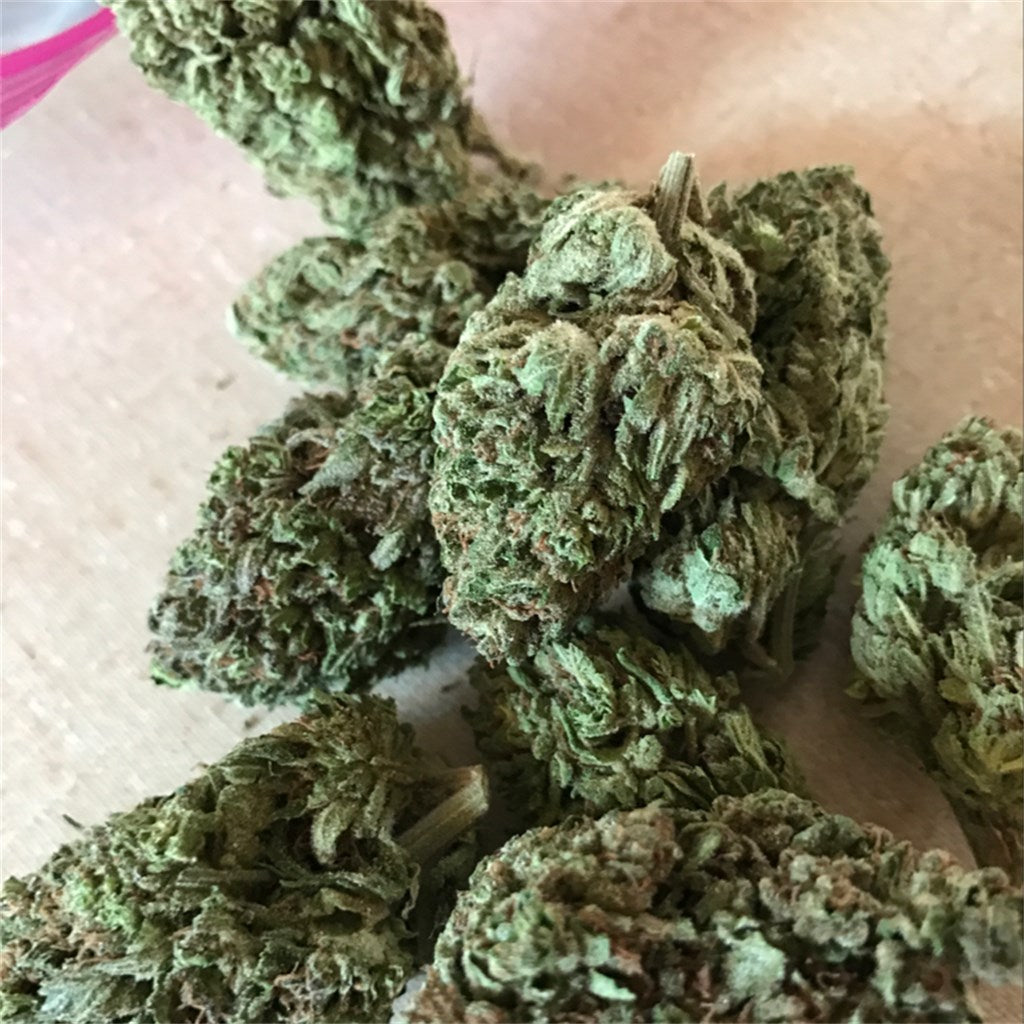 Tangelo marijuana strain flower with orange and citrus flavor and focused / energetic effects - Rare Harvest hybrid