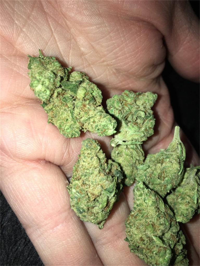 Tangerine Man marijuana strain flower with grapefruit and orange flavor and energetic / euphoric effects - Rare Harvest sativa