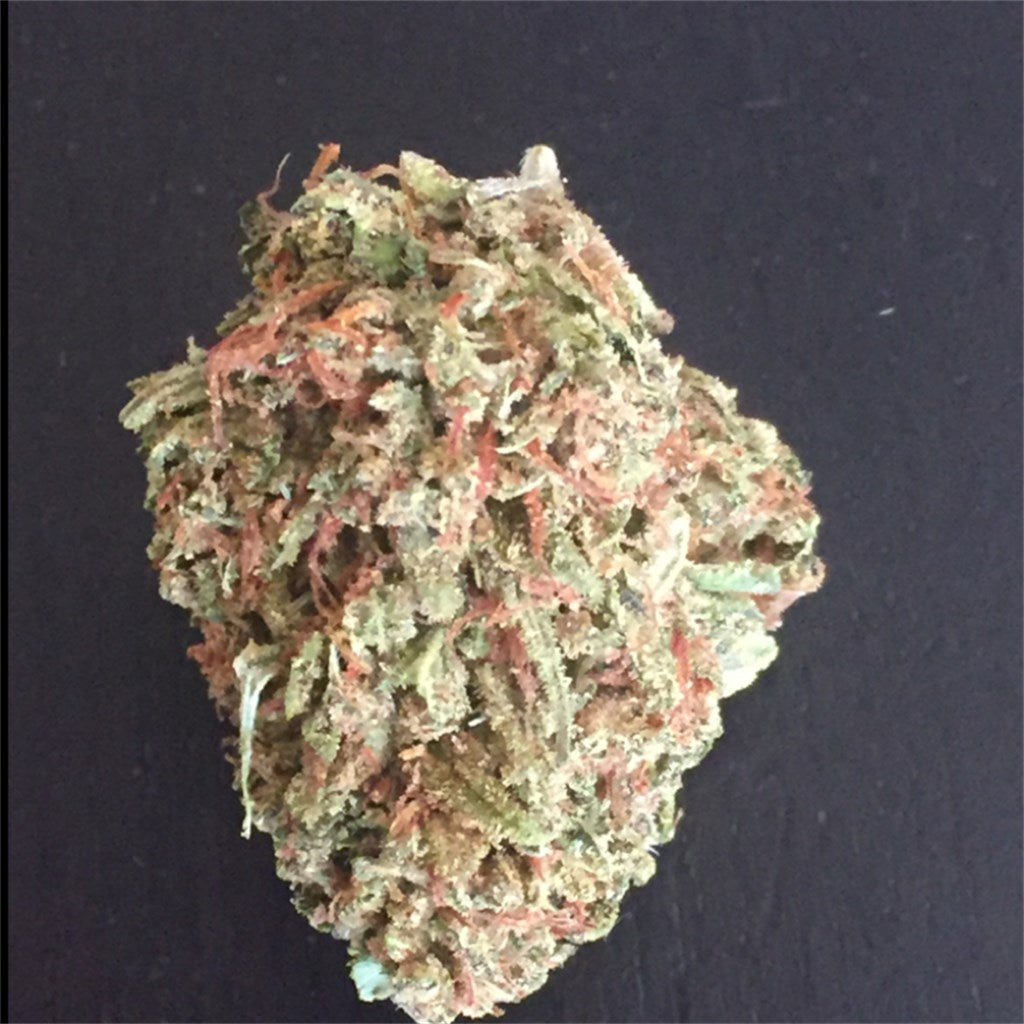 Tangerine Sunrise marijuana strain flower with pineapple and citrus flavor and creative / happy effects - Rare Harvest sativa