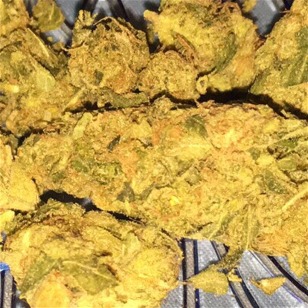 Tangie Dream marijuana strain flower with orange and citrus flavor and creative / energetic effects - Rare Harvest hybrid