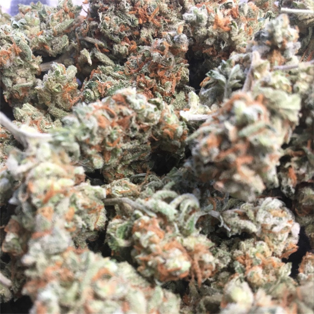 Tangie Ghost Train marijuana strain flower with chemical and orange flavor and energetic / uplifted effects - Rare Harvest sativa