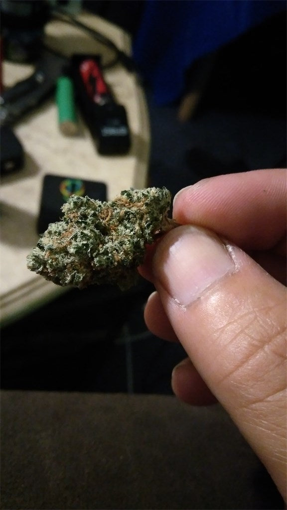 Tangie Sunrise marijuana strain flower with orange and mint flavor and uplifted / energetic effects - Rare Harvest hybrid
