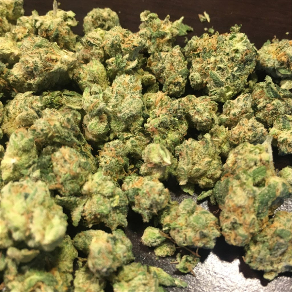 Terminator OG marijuana strain flower with rose and strawberry flavor and creative / energetic effects - Rare Harvest indica