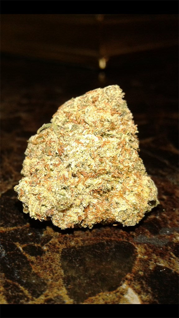 Thai Girl marijuana strain flower with tropical and mango flavor and energetic / creative effects - Rare Harvest hybrid