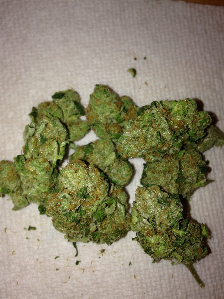 Thai Lights marijuana strain flower with earthy and chemical flavor and energetic / uplifted effects - Rare Harvest hybrid
