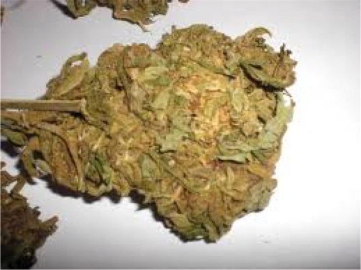 Thai-Tanic marijuana strain flower with grape and woody flavor and uplifted / focused effects - Rare Harvest sativa